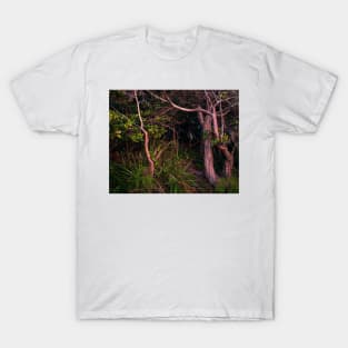 Dark Tunnel T-Shirt